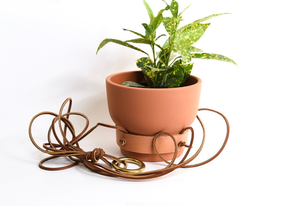 Home Crafted Plant Hanger